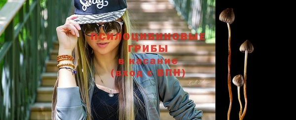 гашик Алексеевка