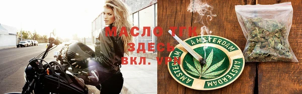 гашик Алексеевка