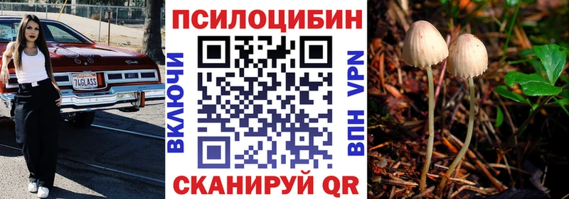 Галлюциногенные грибы мицелий  Сельцо 